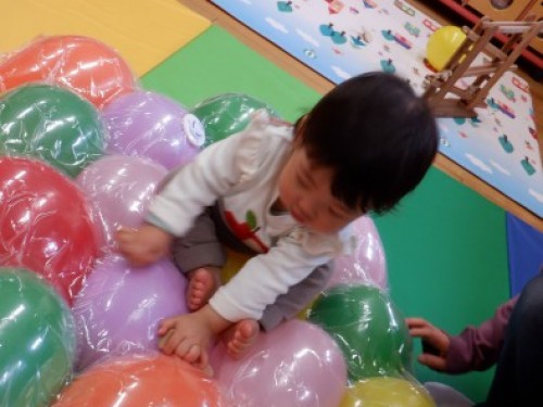 DSCF4600