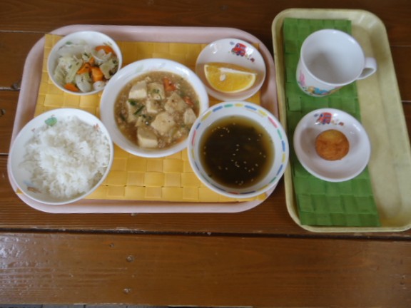 DSC04737