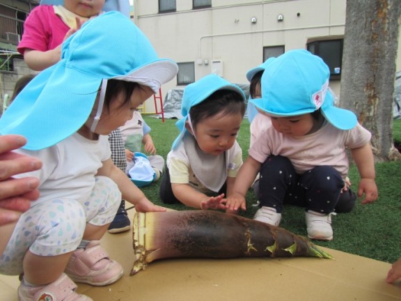 たんぽぽ組 クラスの様子!