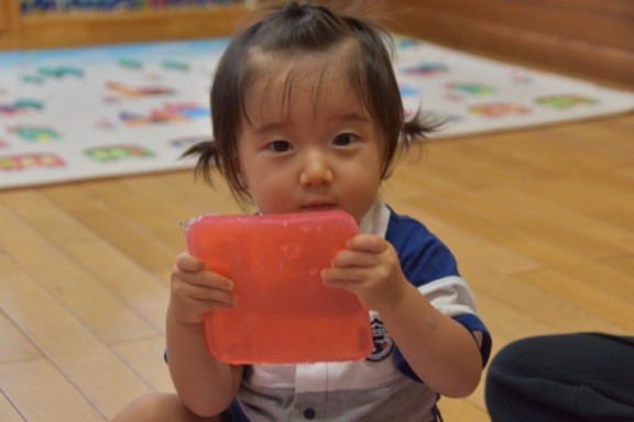 感触遊び（寒天）🐿️ベビー🐿️