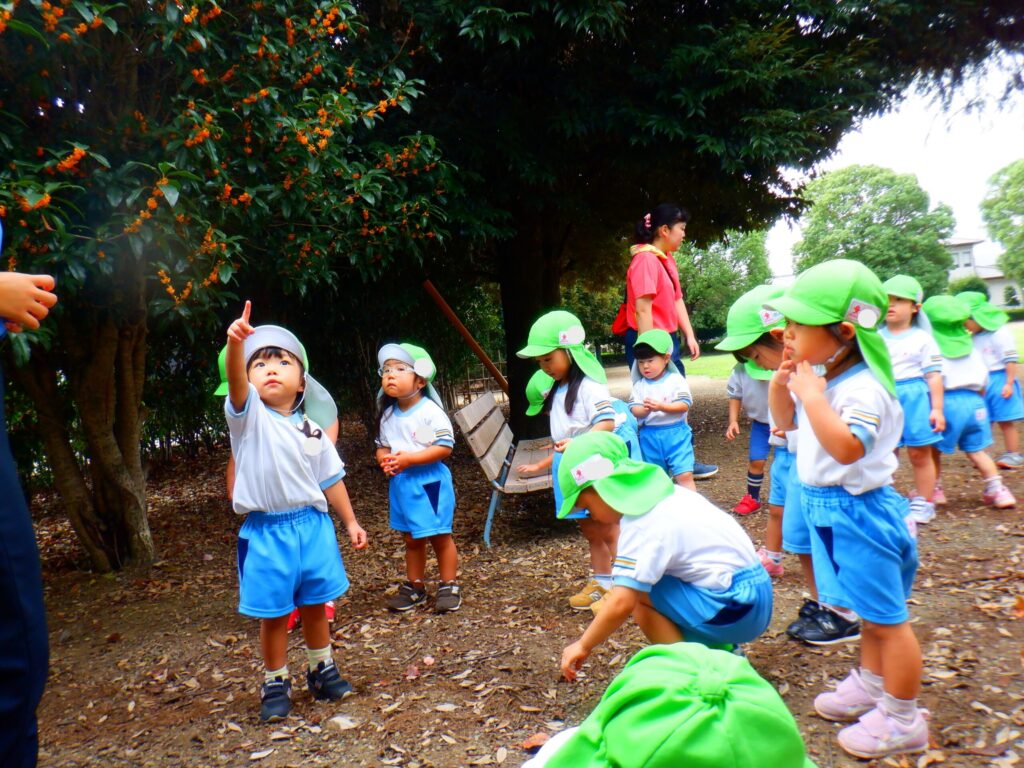 【ひまわり組】自然活動