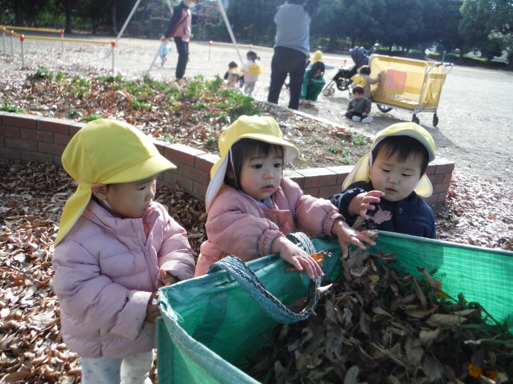 【ひよこ組】今週の様子