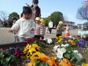【ひよこ組】クラスの様子